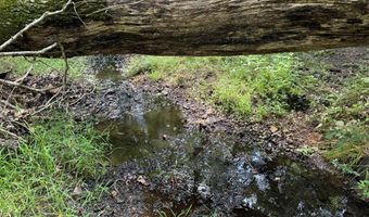 03 Seneca St Ext, Calhoun Falls, SC 29628