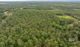 0 Hurricane Rd, Bay Minette, AL 36507