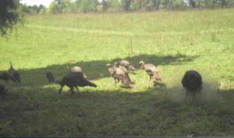 12195 Hwy 587, Beattyville, KY 41311