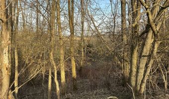 Lot 4 Mud Run Rd, Addison, NY 14801