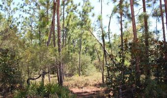 Sycamore Street, Alford, FL 32420