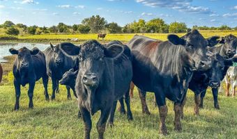 37588 Coker Rd, Asher, OK 74826