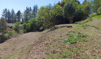 Thompson` Rd, Brookings, OR 97415