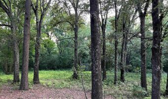 365 Skinner Rd, Austin, AR 72007