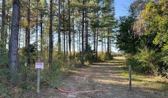 TBD Binnicker Bridge Road, Bamberg, SC 29003