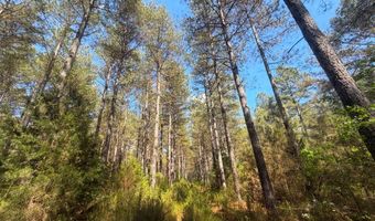 3172 Highway 20, Abbeville, SC 29638