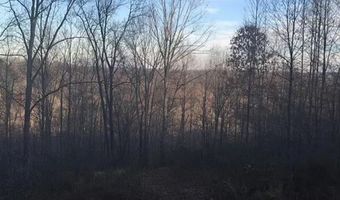 3129 Straight Frk, Alkol, WV 25501