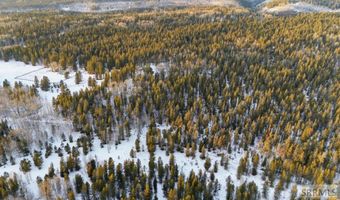 4523 S Elk Loop Rd, Ashton, ID 83420