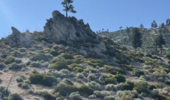 Kingsbury Grade, Gardnerville, NV 89460