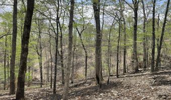 State Hwy N Tract G, Ava, MO 65608