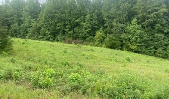 640 Leagan Dr, Blacksburg, SC 29702