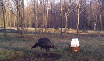 767 County Road 500, Ashland, OH 44805