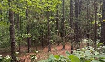 0- Lot 5 Piney Mountain Rd, Appomattox, VA 24522