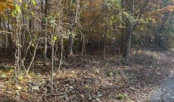 Julius Bridge Road, Ball Ground, GA 30107