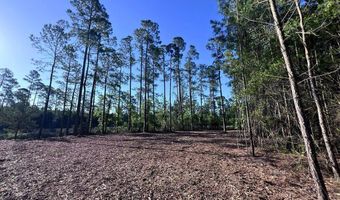 Jarvis Landing Road, Aurora, NC 27806