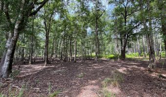 Fox Paw Court, Branchville, SC 29432
