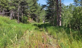 Spiritwood Ln, Bellvue, CO 80512