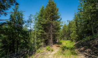 Nna Log Cabin Rd, Bonners Ferry, ID 83805