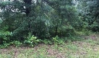 151 W Ml, Tallapoosa, GA 30176
