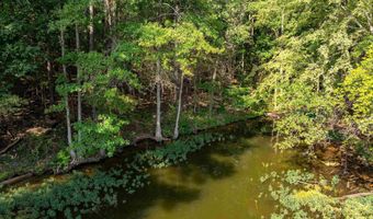Lot 4 CONSTELLATION DRIVE 2.42 acres, Alpine, AL 35014