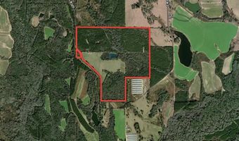 County Road 127, Banks, AL 36005