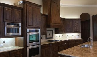 1115 Navarro Dr, Allen, TX 75013