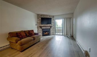 1001 Grandview Dr 11, Breckenridge, CO 80424