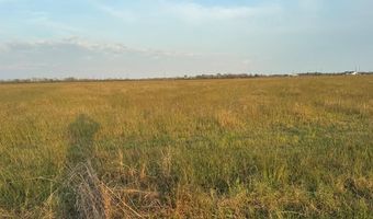 40 Acres County Road 45, Angleton, TX 77515