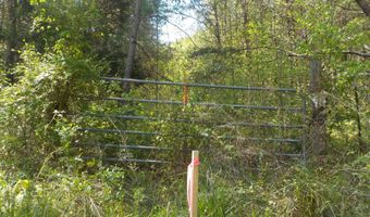 Steve Brown Road, Bean Station, TN 37708