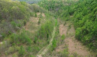 1271 A Tunnel Ridge Rd, Argillite, KY 41121
