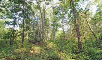 7750 Pine Rd, Arena, WI 53503