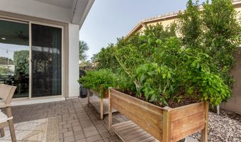 1931 E ASTER Pl, Chandler, AZ 85286