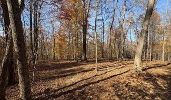 99- C Richmond Hwy, Amherst, VA 24521