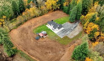 45505 NE YALE BRIDGE Rd, Amboy, WA 98601