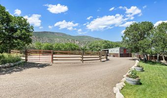 160 Spring Creek Rd, Basalt, CO 81621
