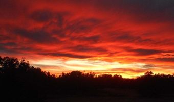 12 County Rd N8543, Concho, AZ 85924