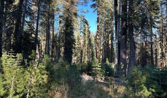 550 Cabbage Patch Log Rd, South Lake Tahoe, CA 95223