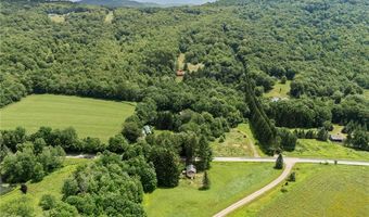 6275 Fall Clove Rd, Andes, NY 13752