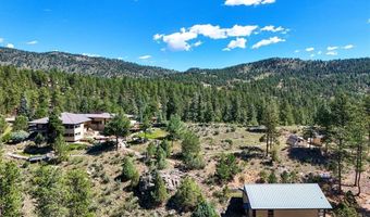 682 Buddy Rd, Bailey, CO 80421