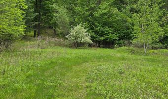L15 S Durham Estates Road, Acra, NY 12405