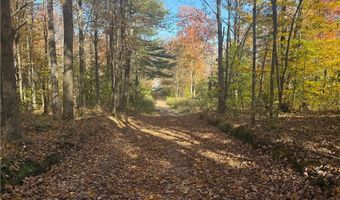 0 Mexico St, Albion, NY 13302