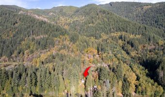 33823 SR 706 3, Ashford, WA 98304