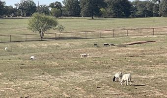 4487 N US Highway 287, Alvord, TX 76225