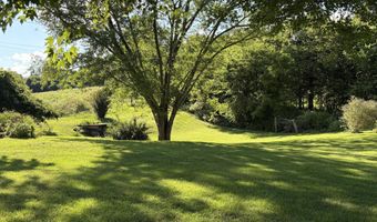 90 Red Dog Ln, Afton, TN 37616