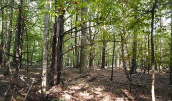 Anding Oil City Road, Bentonia, MS 39040