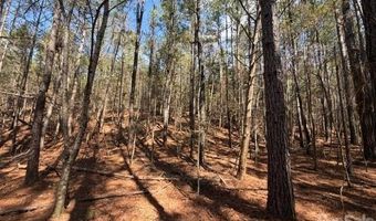 12 68 Acre 99 Rd, Blair, SC 29015