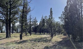 Hilltop Lane, Alturas, CA 96101