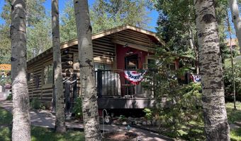 124 Ski Rd, Allenspark, CO 80510
