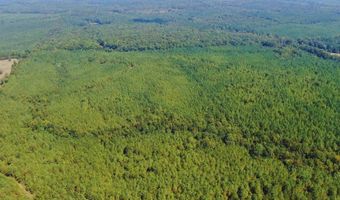 0 CR 320, Big Creek, MS 38914