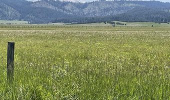163 21 Ac Gray Ln, Cascade, ID 83611
